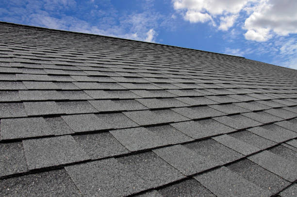 Best Slate Roofing  in Pleasant Ridge, MI
